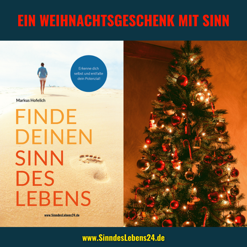 Weihnachtsgeschenk? Buch „Finde deinen Sinn des Lebens – Erkenne dich selbst und entfalte dein Potenzial“ von Markus Hofelich